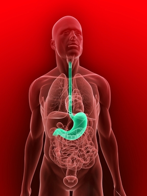 Does Bile Reflux Cause Weight Loss